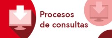 Procesos de consultas
